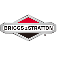 Briggs e Stratton